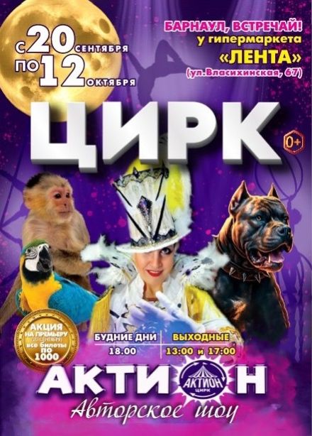 Цирковое шоу «Актион»