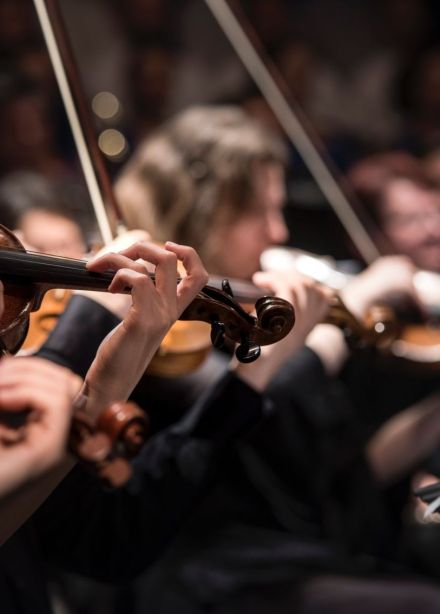 Концерт «Гарри Поттер и философский камень»