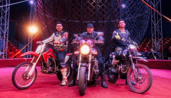 Цирк-шапито «Граф Орлов», Бийск