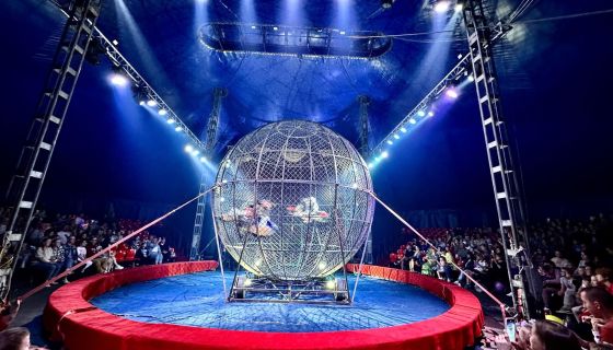 Цирк-шапито «Граф Орлов», Бийск