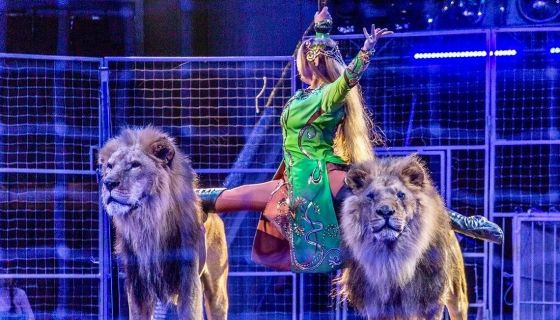 Цирк-шапито «Граф Орлов», Бийск