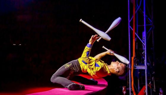 Цирк-шапито «Граф Орлов», Бийск