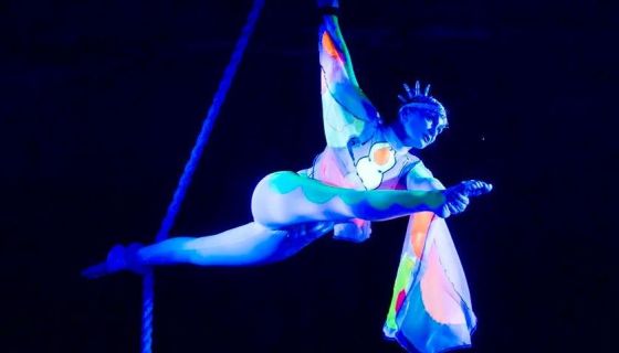 Цирк-шапито «Граф Орлов», Бийск