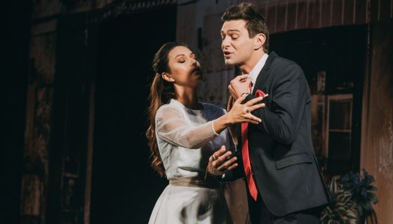 Спектакль «Идеальный свидетель»