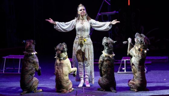 Цирк «Актион», Рубцовск