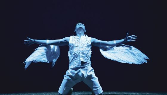 Пластический спектакль «Найджел»