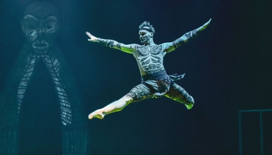 Пластический спектакль «Найджел»