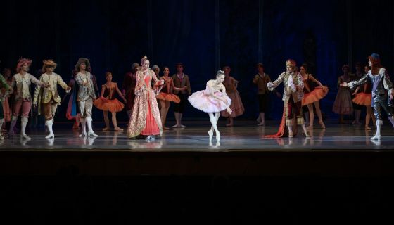 Лето пируэта. Балет «Спящая красавица»