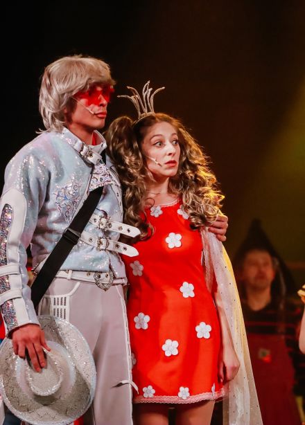 Бременские музыканты