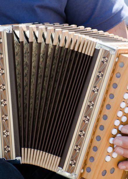 В народной музыке единство